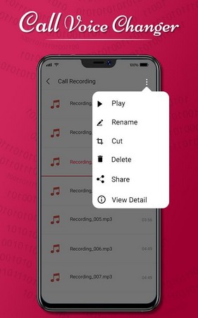 Call Girl Voice Changer