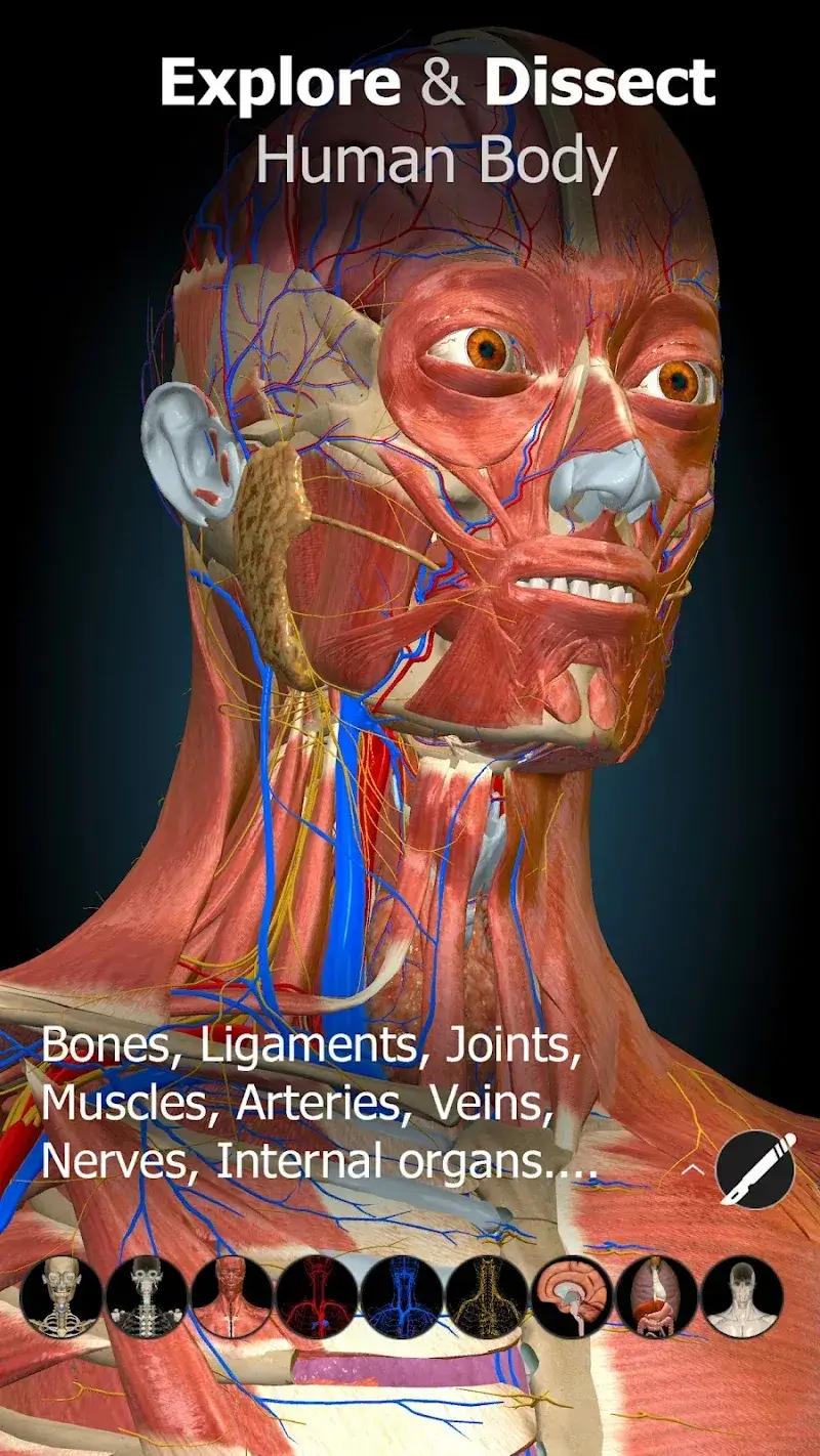 Anatomy Learning - 3D Anatomy screenshot 1