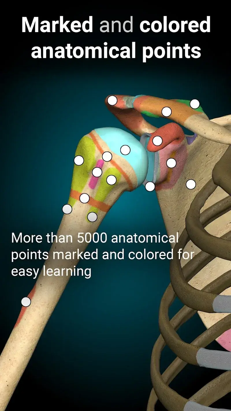Anatomy Learning - 3D Anatomy screenshot 1