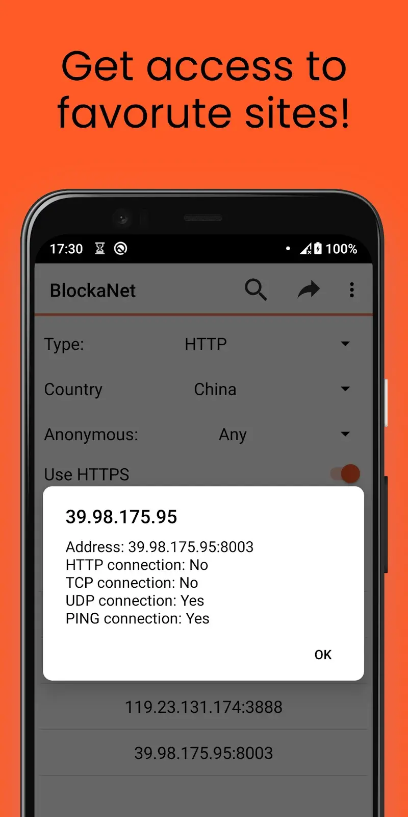 BlockaNet: Proxy list browser screenshot 1