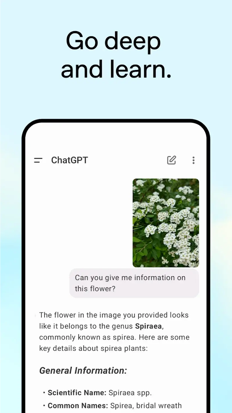 ChatGPT screenshot 1