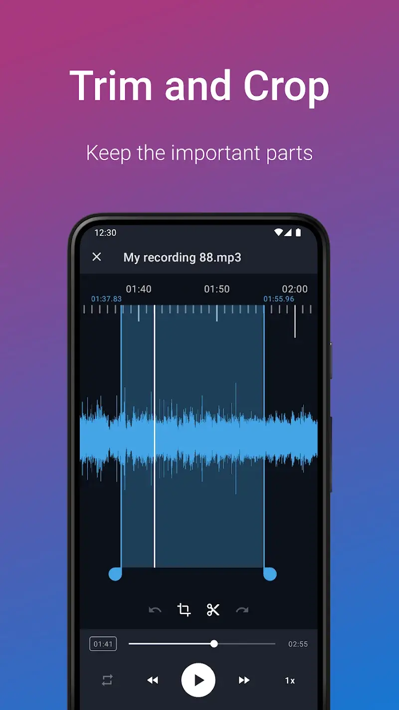 Easy Voice Recorder Pro screenshot 1