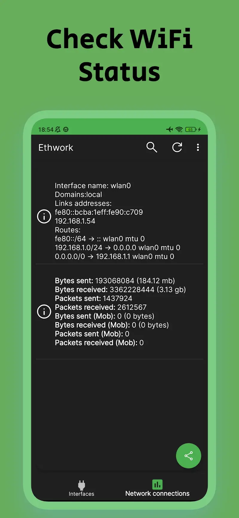 Ethwork: Netstat & Interfaces screenshot 1