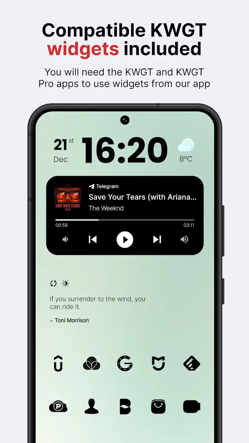 Lena Black - Glyph Icon Pack screenshot 1