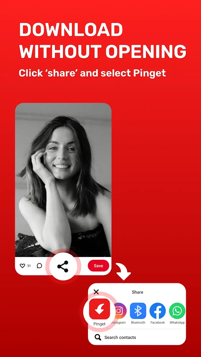 Pinterest Video Downloader (Pinget) screenshot 1