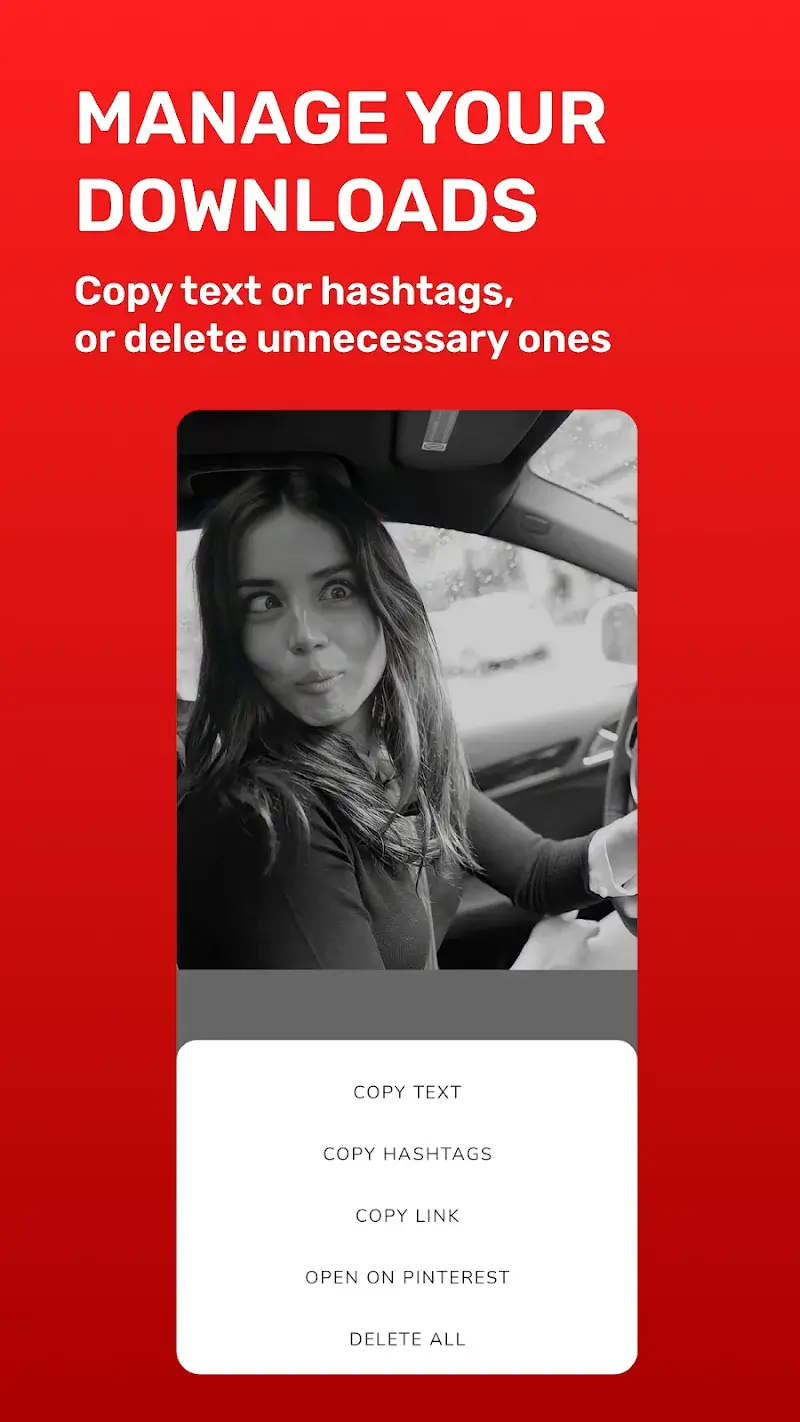 Pinterest Video Downloader (Pinget) screenshot 1
