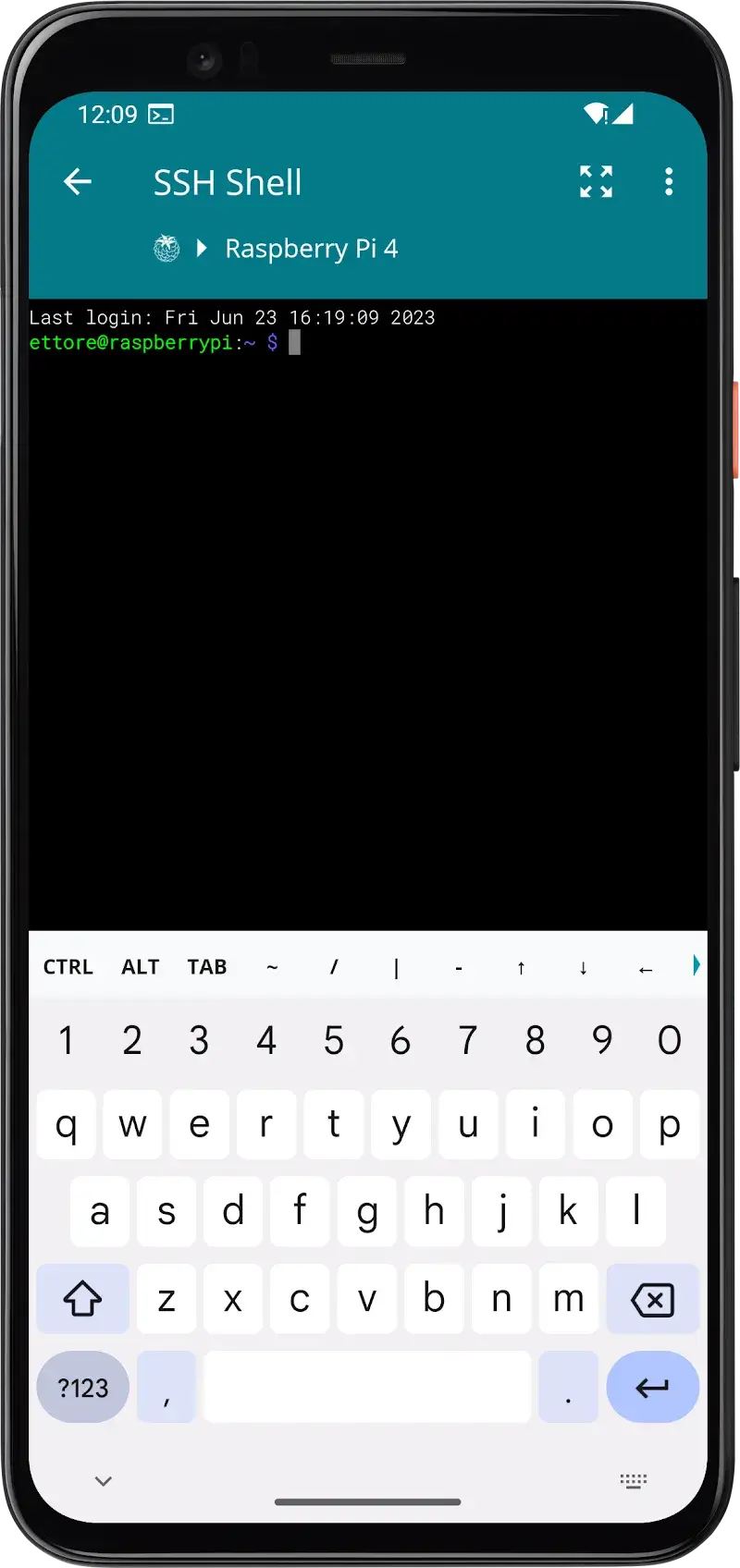 RaspController screenshot 1