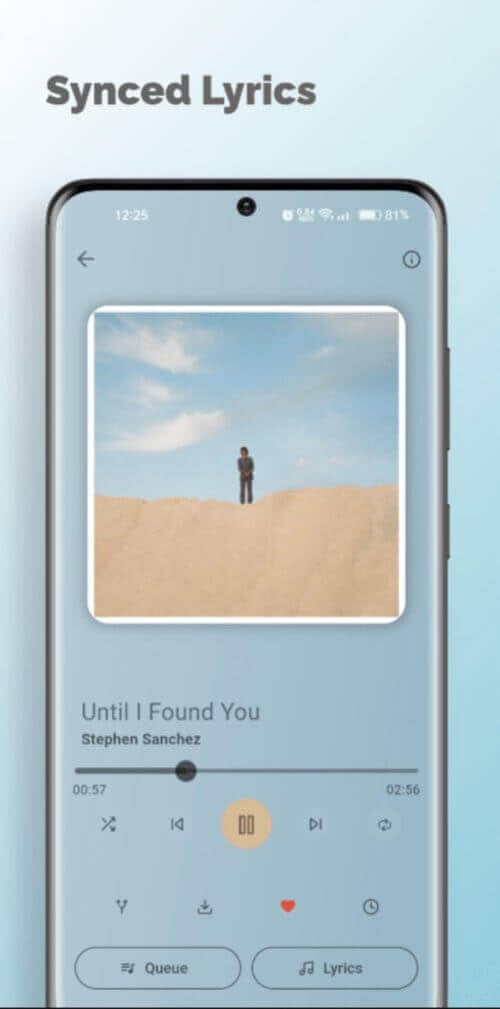 Spotube screenshot 1