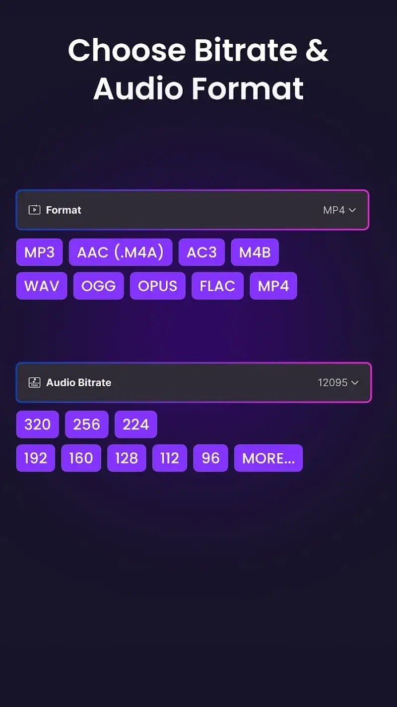 Video to Audio MP3 Converter screenshot 1