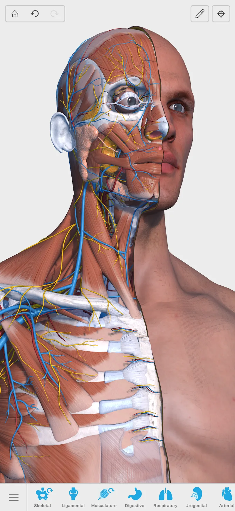 Visual Anatomy 3D screenshot 1