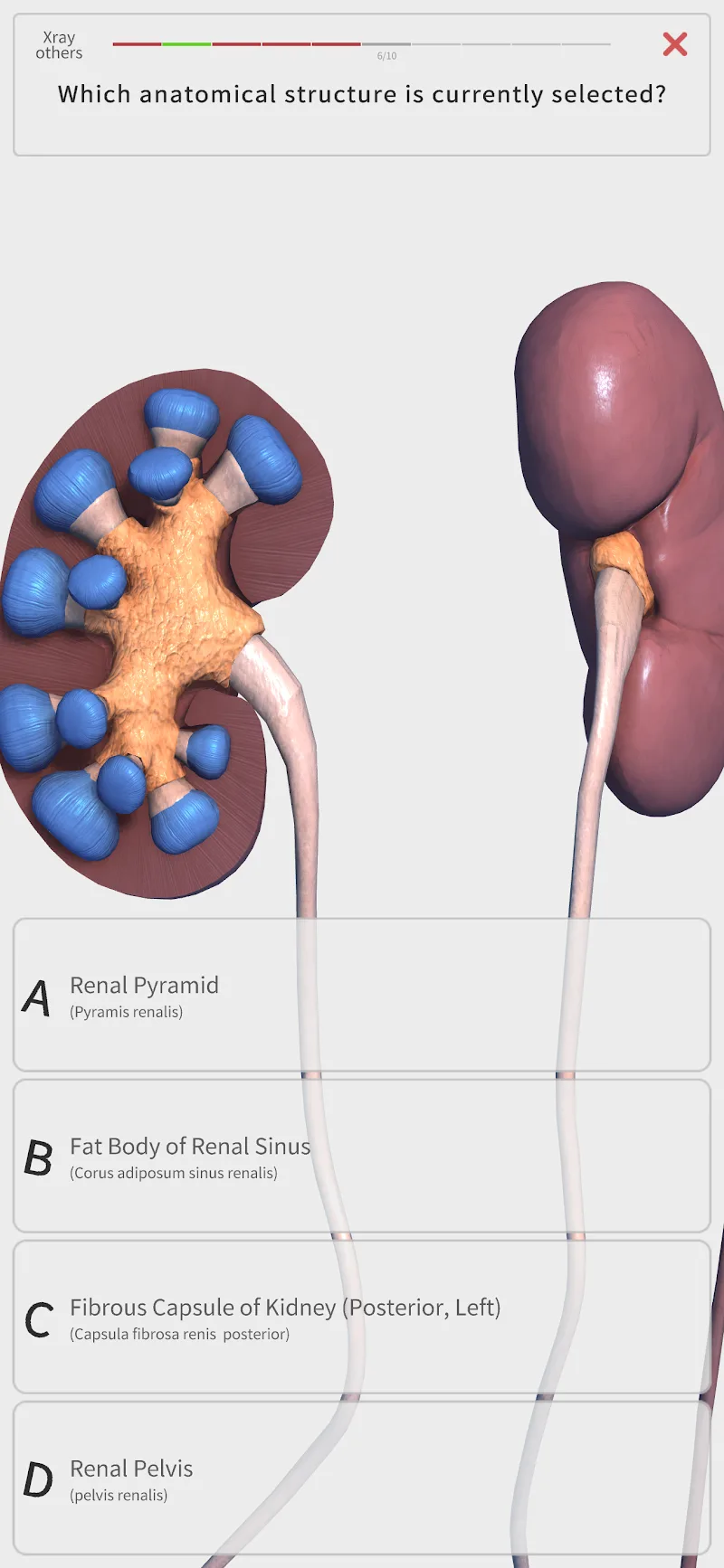 Visual Anatomy 3D screenshot 1