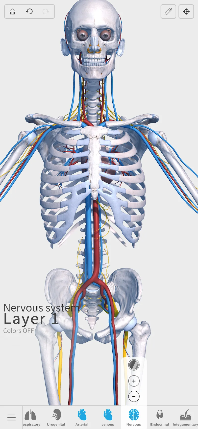Visual Anatomy 3D screenshot 1
