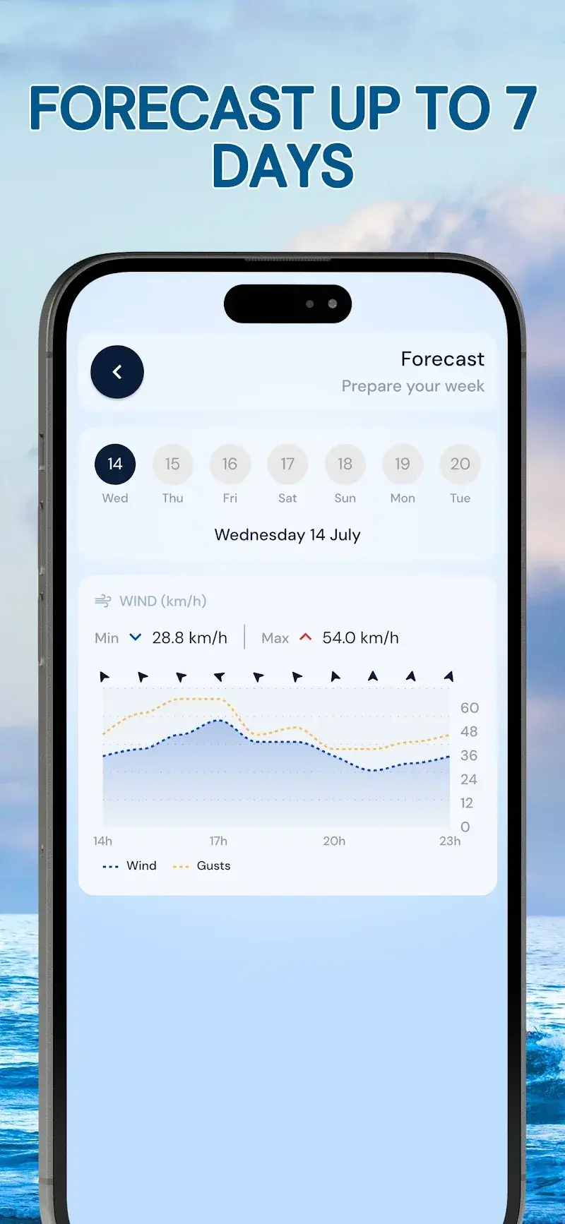 Wind Compass screenshot 1