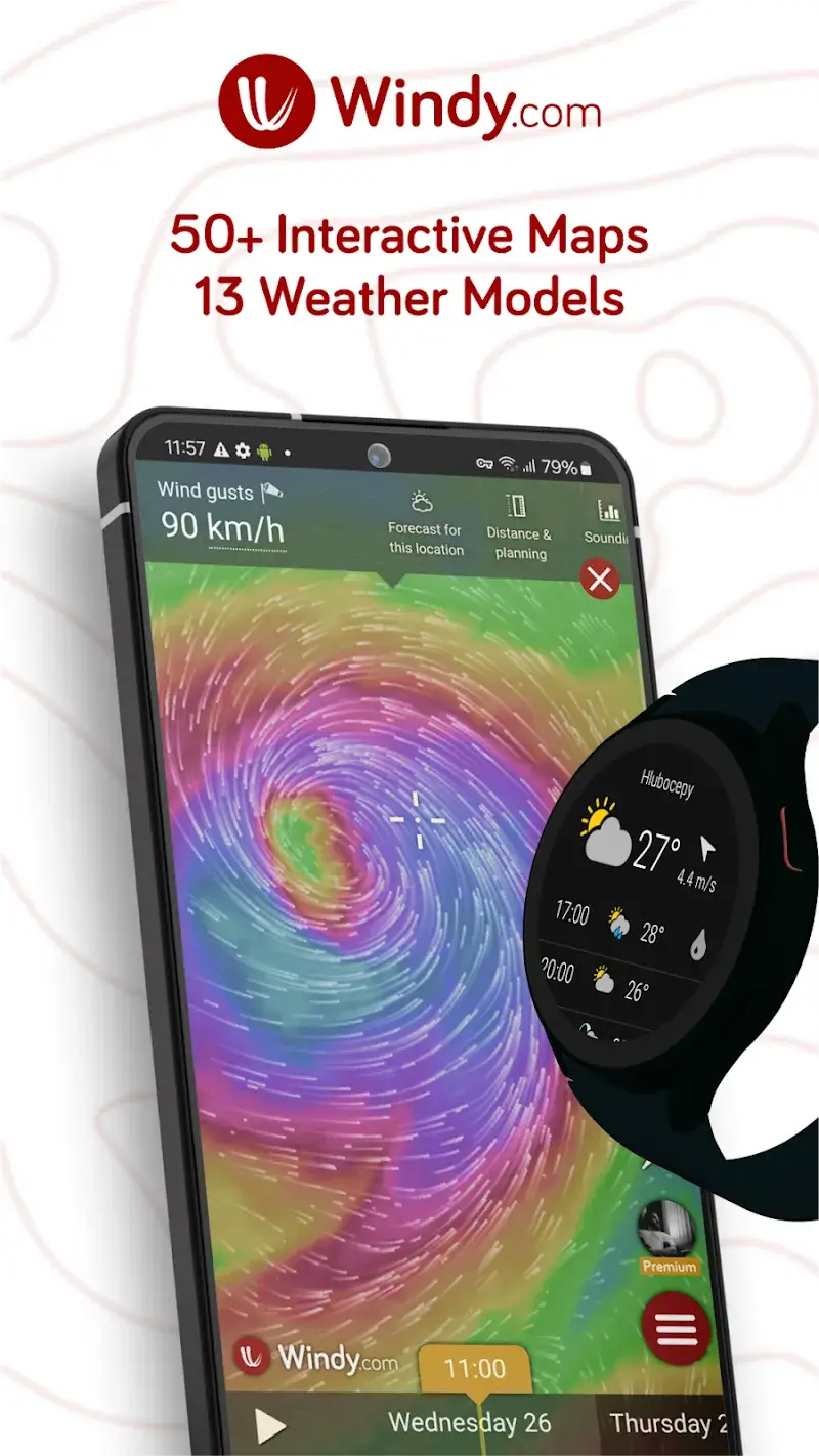 Windy.com screenshot 1