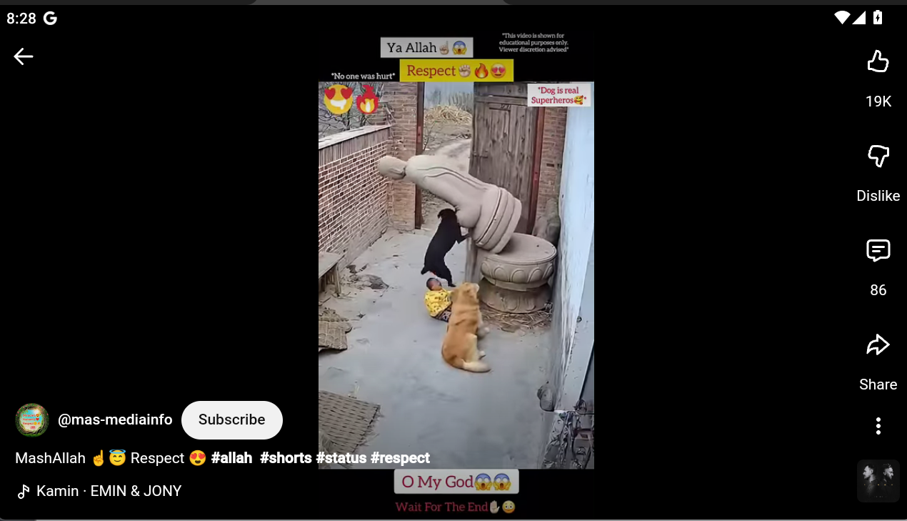 YouTube Pro screenshot 1