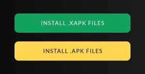 click on Install .XAPK Files