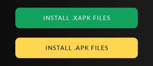 tap on Install XAPK Files