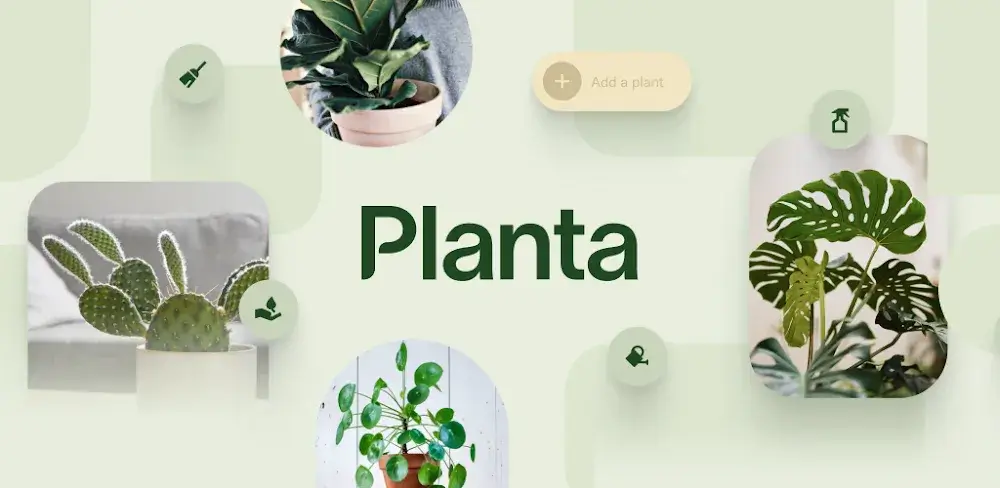 Planta icon