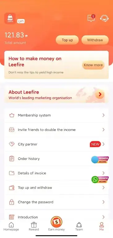 Leefire screenshot 1