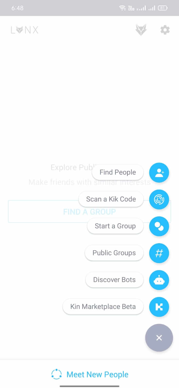 Lynx Remix screenshot 1