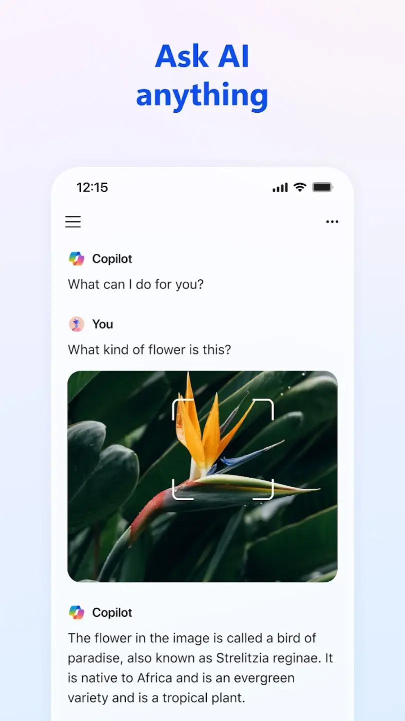 Microsoft CoPilot screenshot 1