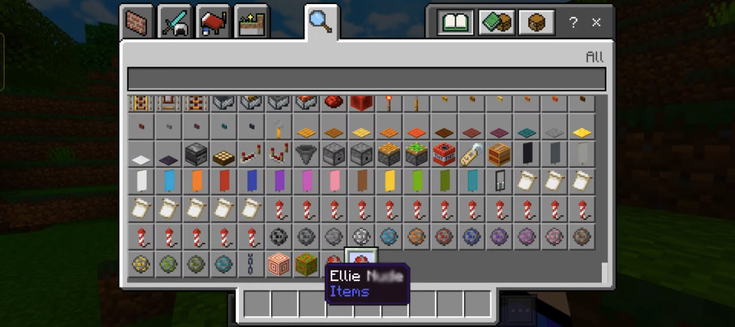 Minecraft Jenny screenshot 1