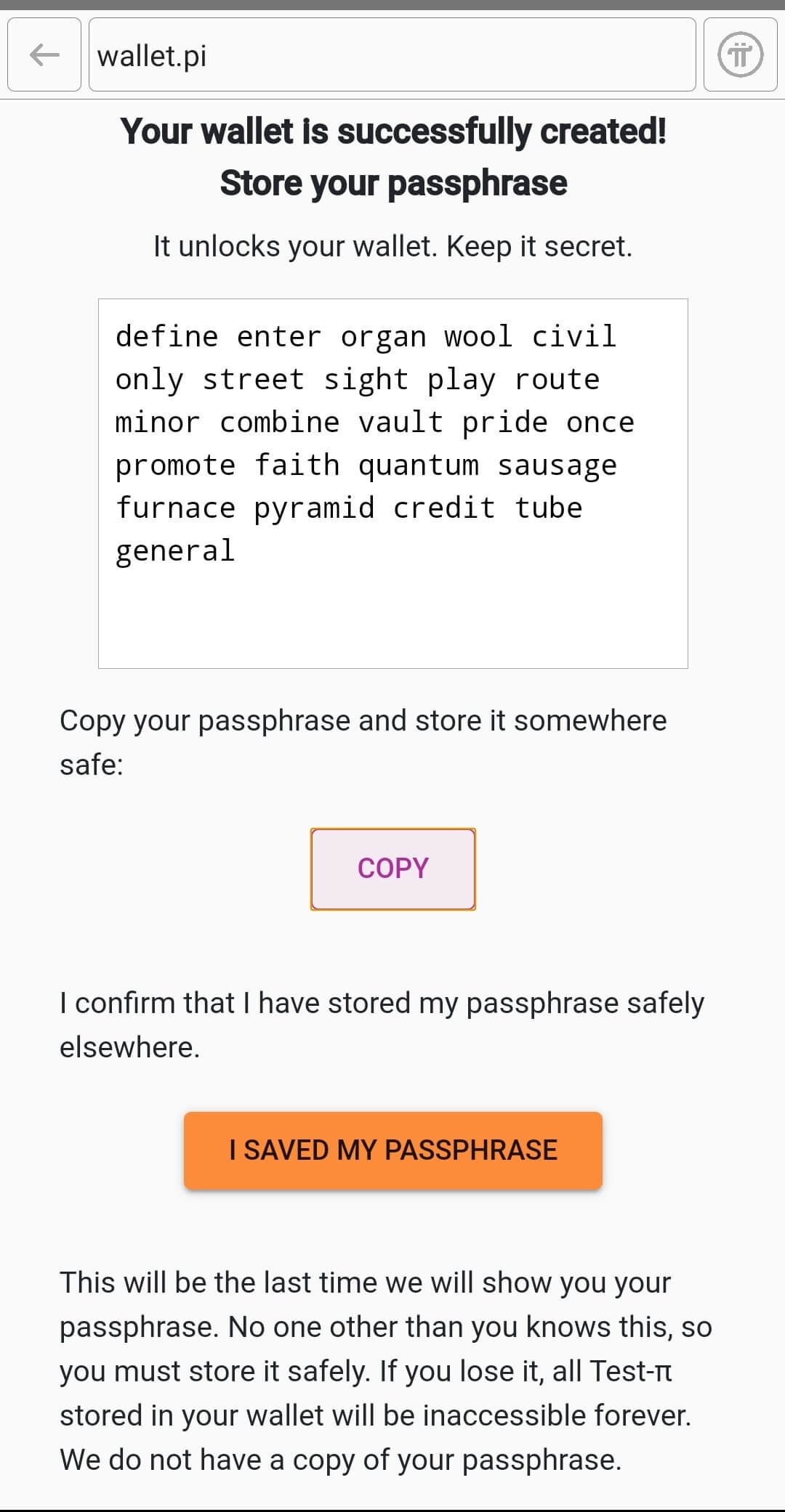Pi Browser screenshot 1