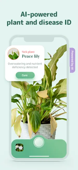 ‎Blossom - Plant Care Guide App screenshot 1