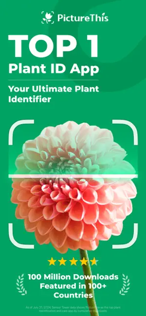 ‎PictureThis - Plant Identifier App screenshot 1