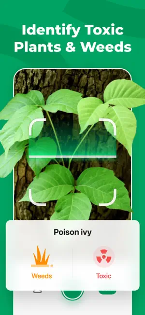 ‎PictureThis - Plant Identifier App screenshot 1