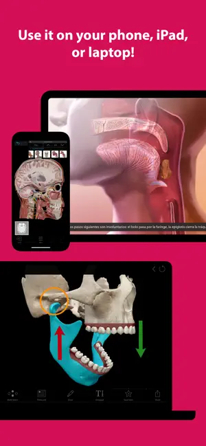 ‎Visible Body Suite App screenshot 1
