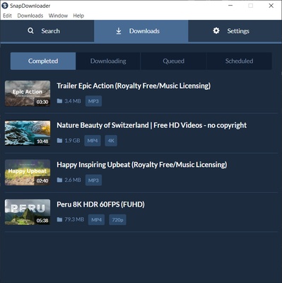 SnapDownloader screenshot 1