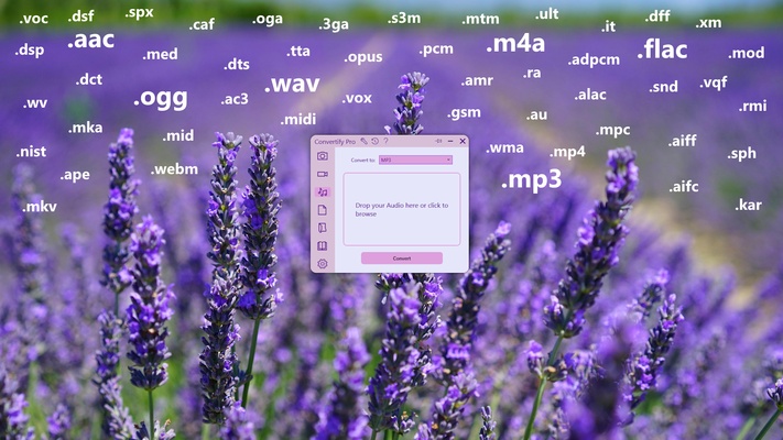 Convertify screenshot 1