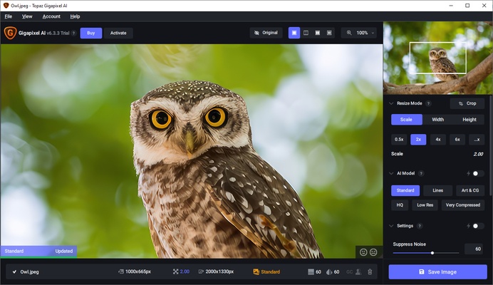 Topaz Gigapixel AI screenshot 1