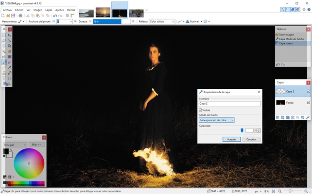 Paint.NET screenshot 1
