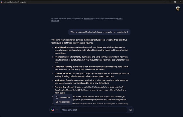 Microsoft Copilot screenshot 1