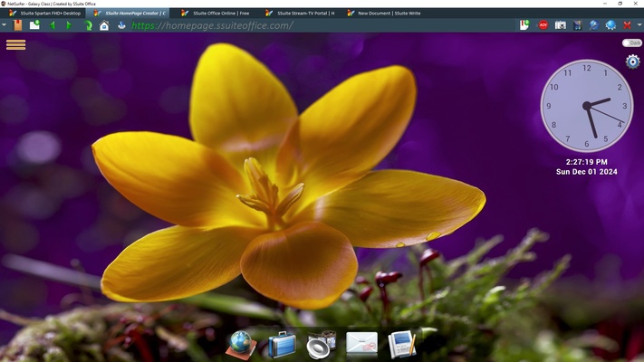 SSuite NetSurfer E-Gamer x64 screenshot 1