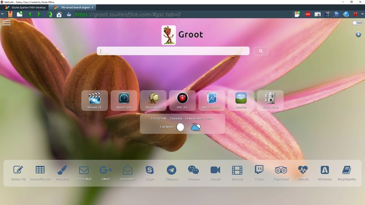 SSuite NetSurfer E-Gamer x64 screenshot 1