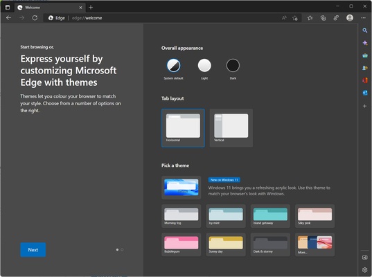 Microsoft Edge Dev screenshot 1