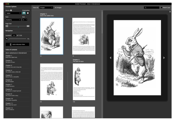 Kindle Previewer screenshot 1