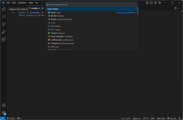 Visual Studio Code screenshot 1