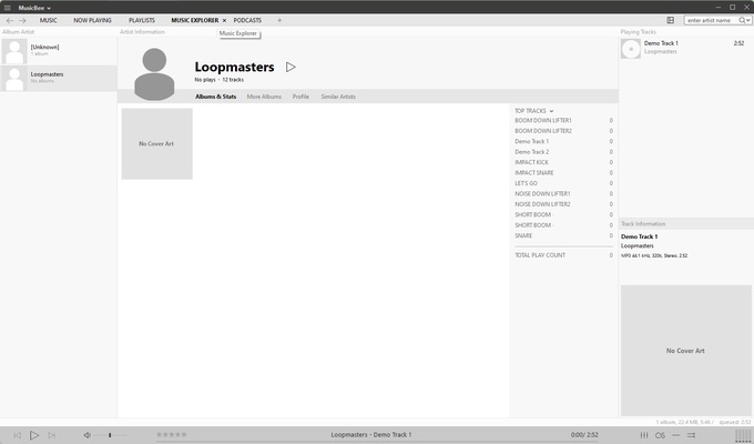 MusicBee screenshot 1