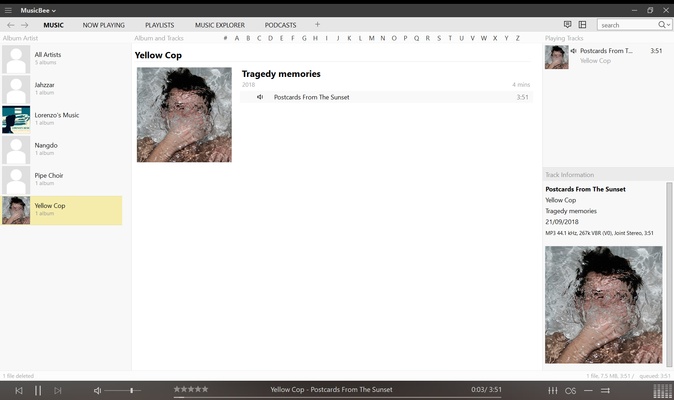 MusicBee Portable screenshot 1
