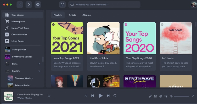 Spicetify screenshot 1