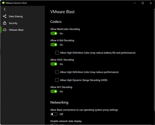 VMware Horizon Client screenshot 1