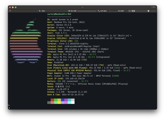 Fastfetch screenshot 1
