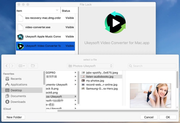 UkeySoft File Lock screenshot 1