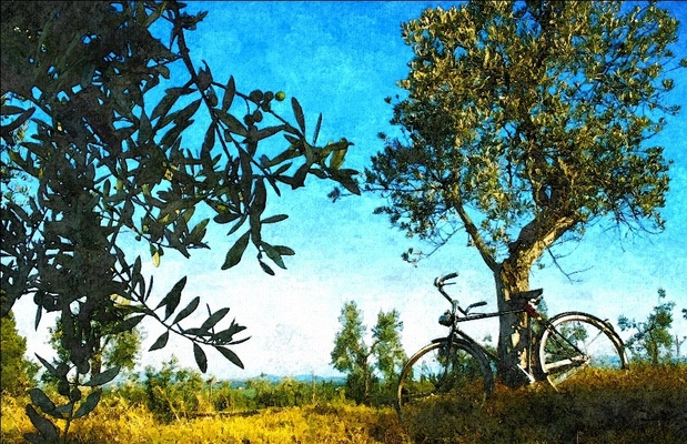 FotoSketcher screenshot 1