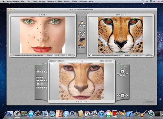 Abrosoft FantaMorph screenshot 1