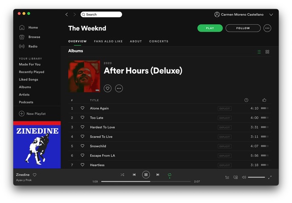 Spotify screenshot 1